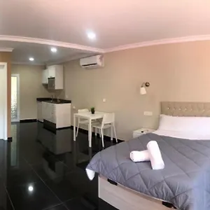 https://selin-star-light-cabopino.1costadelsol.com