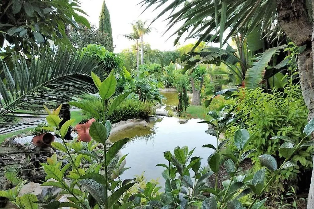 Cozy Apartament In Golden Mile Marbella